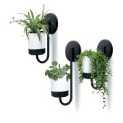 Set suport de flori suspendat Bloomie Hanger,3 bucati alb, Prosperplast