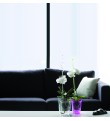 Ghiveci Coubi, alb transparent, pentru orhidee 1,5 L 132 mm x 160 mm Prosperplast