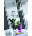 Ghiveci Coubi, alb transparent, pentru orhidee 1,5 L 132 mm x 160 mm Prosperplast
