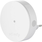 Extensie radio pt Somfy Protect